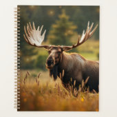 Knappe Moose Planner (Voorkant)