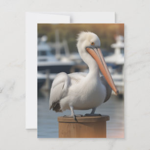 knappe pelikaan briefkaart