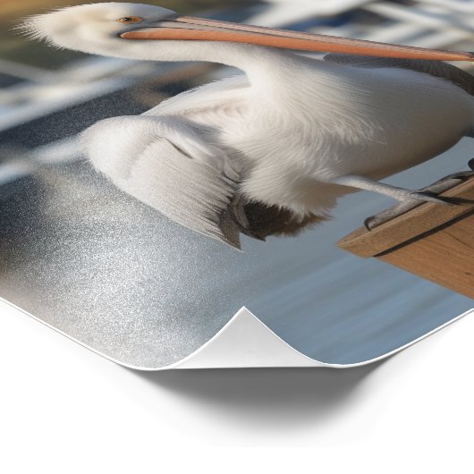 knappe pelikaan foto afdruk (Hoek)