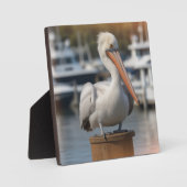 knappe pelikaan fotoplaat (Voorkant)