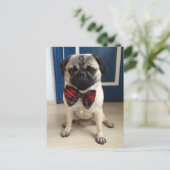 Knappe Pug in een boog stropdas ontwerp Briefkaart (Staand voorkant)