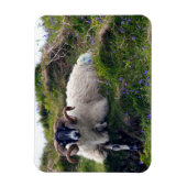 Knappe ram met krullende horens die lui ligt in de magneet (Verticaal)