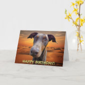 Knappe rode doberman verjaardagskaart kaart (Gele Bloem)