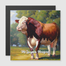 Knappe rode en witte Hereford Bull
