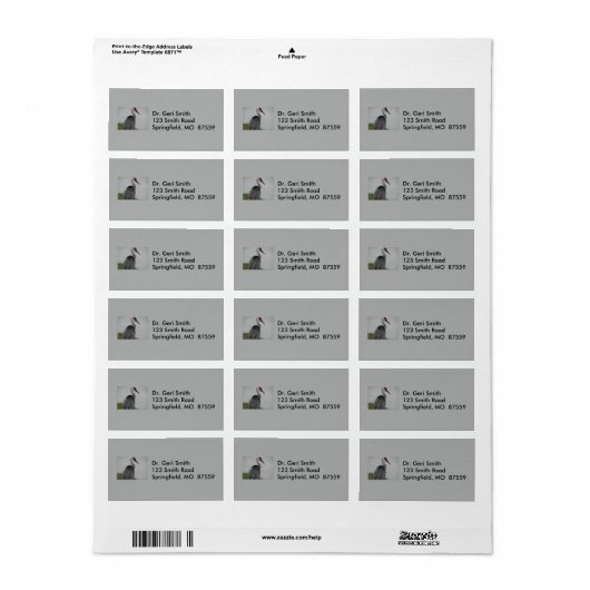 Knappe Sandhill Crane Etiket (Full Sheet)