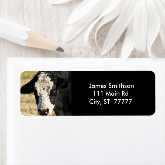 knappe stier etiket (Insitu)