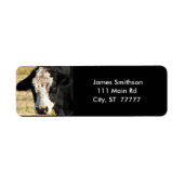 knappe stier etiket (Voorkant)