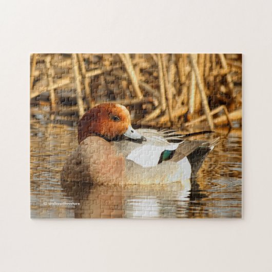 Knappe vreemdeling in de stad Pijlstaart Legpuzzel (Horizontaal)