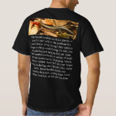 Knature Knowledge Broad-Headed Skink T-Shirt (Achterkant)