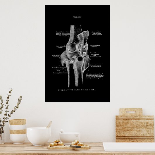 Knee Joint Anatomy Medical Wall Decor Poster (Keuken)