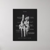 Knee Joints Anatomy Art Canvas Afdruk (Voorkant)