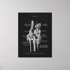 Knee Joints Anatomy Art Canvas Afdruk