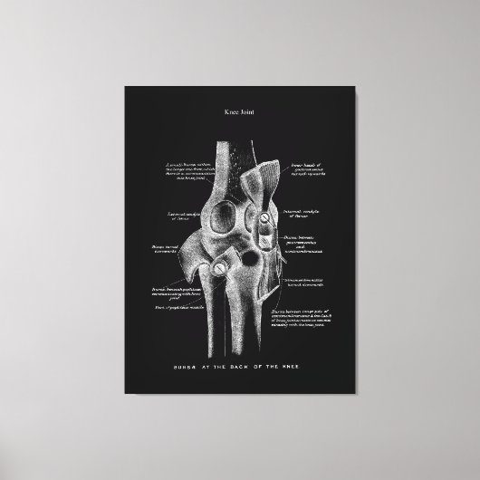 Knee Joints Anatomy Art Canvas Afdruk (Voorkant)