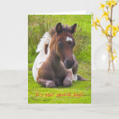Kneeling Dartmoor Pony Foal verjaardagskaart Kaart (Gele Bloem)