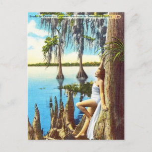 Knees op Cypress Gardens in Florida Briefkaart