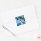 knelpuntdolfijnen springen uit helder blauw zee vierkante sticker (Envelop)