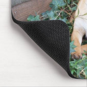 Knevel met je jongste muismat (Hoek)