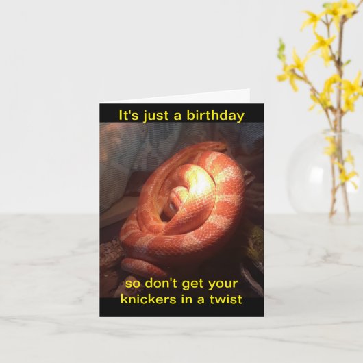 Knickers in a Twist Verjaardags Slangenkaart Kaart (Gele Bloem)