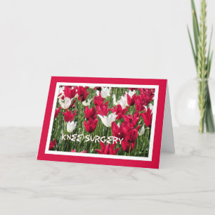 Knie Surgery Kaart, Red White Tulips Kaart