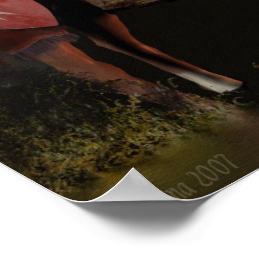 Knight Hospitaller van Sint-John Poster (Hoek)