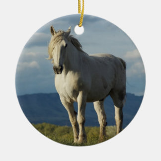 Knight of Dreams Keramisch Ornament