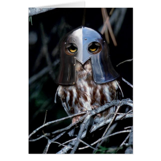 Knight Owl (Voorkant)