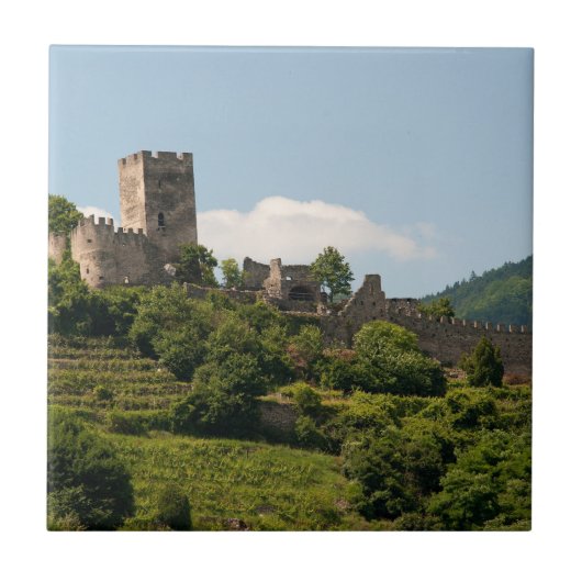 Knight's Castle in Wachau Austria Tegeltje (Voorkant)
