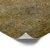 KNIGHTS TEMPLAR SEAL POSTER (Hoek)