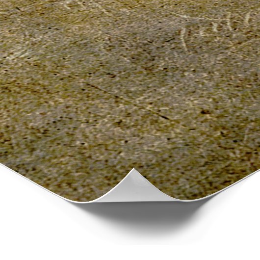 KNIGHTS TEMPLAR SEAL POSTER (Hoek)