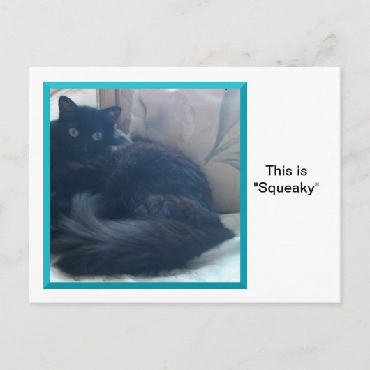 Knijp op een Briefkaart (Voorkant)