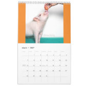 Knip de Varkenscalender Kalender (Mar 2027)