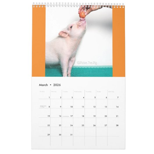 Knip de Varkenscalender Kalender (Mar 2026)