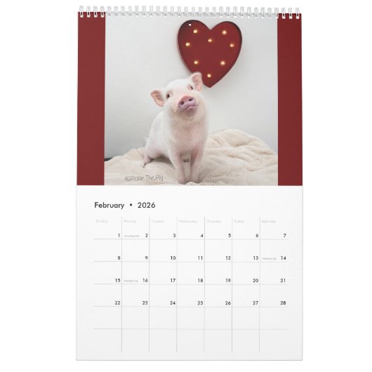 Knip de Varkenscalender Kalender (Feb 2026)