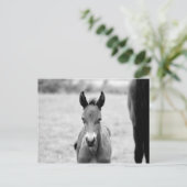 Knip het dier briefkaart (Staand voorkant)