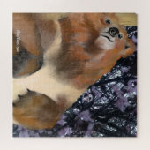 Knip omhoog naar een Beer puzzel (Horizontaal)