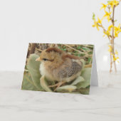 Knip op vloeibaar onkruideniersbladeren kaart (Gele Bloem)