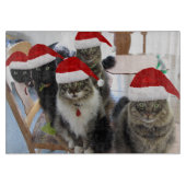 Knipbord voor kerstglas snijplank (Voorkant)