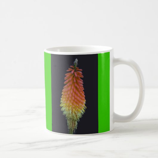 Kniphofia # 219 koffiemok (Rechts)