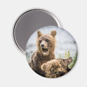 Knipjes die op zoek zijn naar hun mam Magnet (Voorkant / Achterkant)