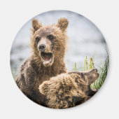 Knipjes die op zoek zijn naar hun mam Magnet (Voorkant)