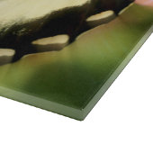 Knipkamer van vlinderglas snijplank (Hoek)