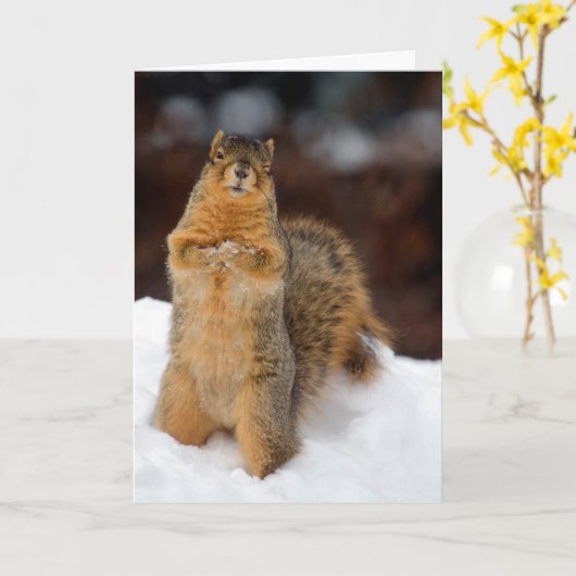 knipoeekhoorn kaart (Gele Bloem)