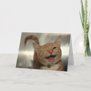 Knipogende Gelukkige Kater Verjaardag Kaart