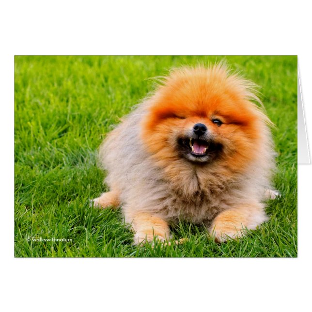 Knipogende Lachende Grappige Hond (Voorkant Horizontaal)