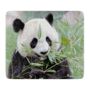 Knippen Fotogigant panda, dieren 0147. Snijplank