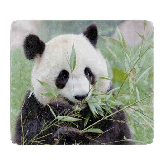 Knippen Fotogigant panda, dieren 0147. Snijplank (Voorkant)