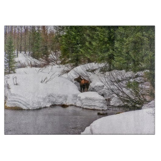 Knipper Glass Moose Wildlife Snijplank (Voorkant)
