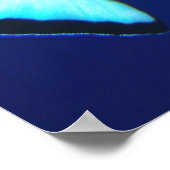 Knipper in het blauw poster (Hoek)