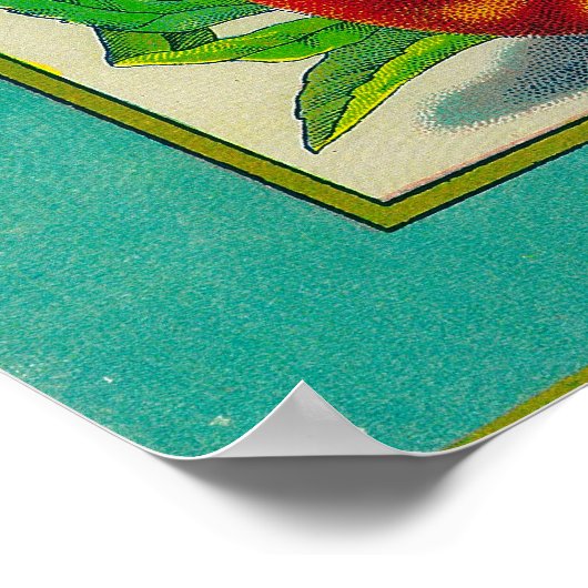 Knipperlabel Poster (Hoek)