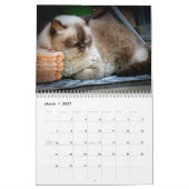 Knippers voor wandkalender foto's kalender (Mar 2027)